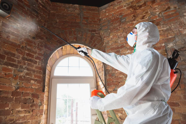 Why You Should Choose Our Mold Remediation Services in Rockport, IN